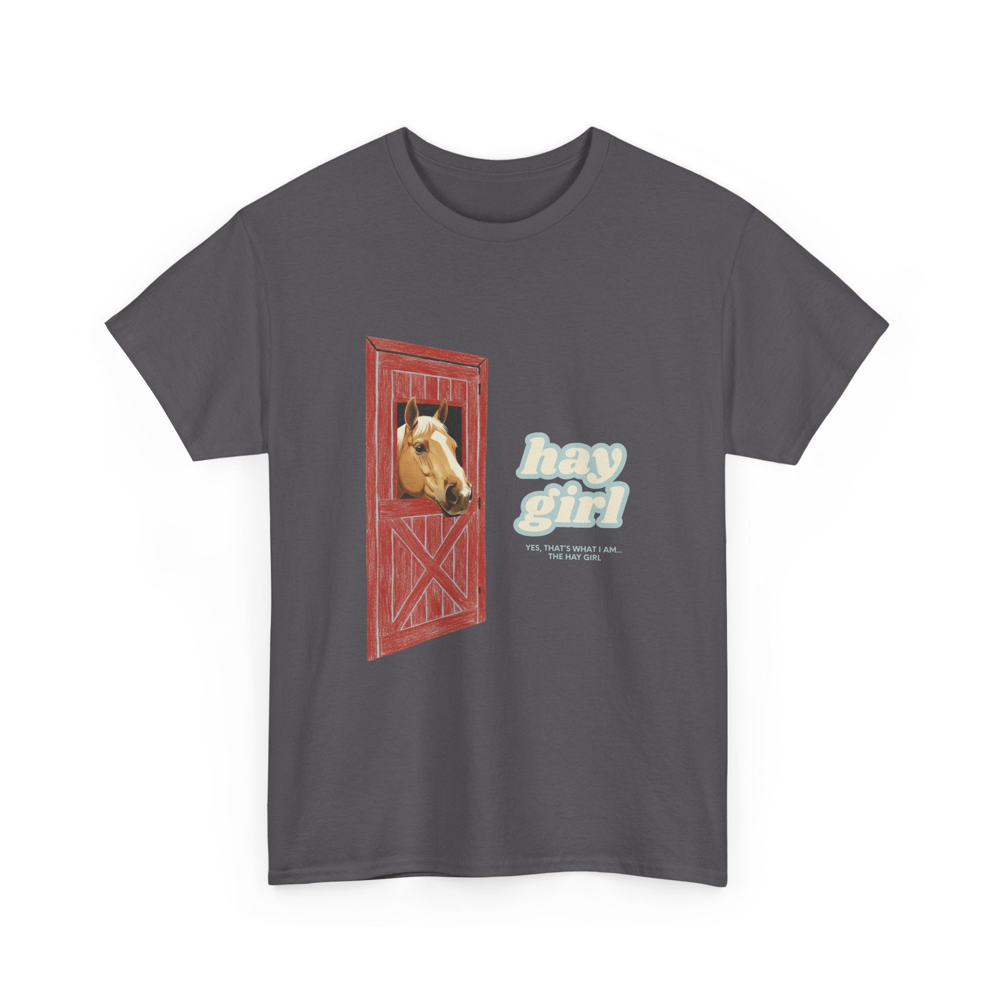 Hay Girl, Horse in Barn T-Shirt