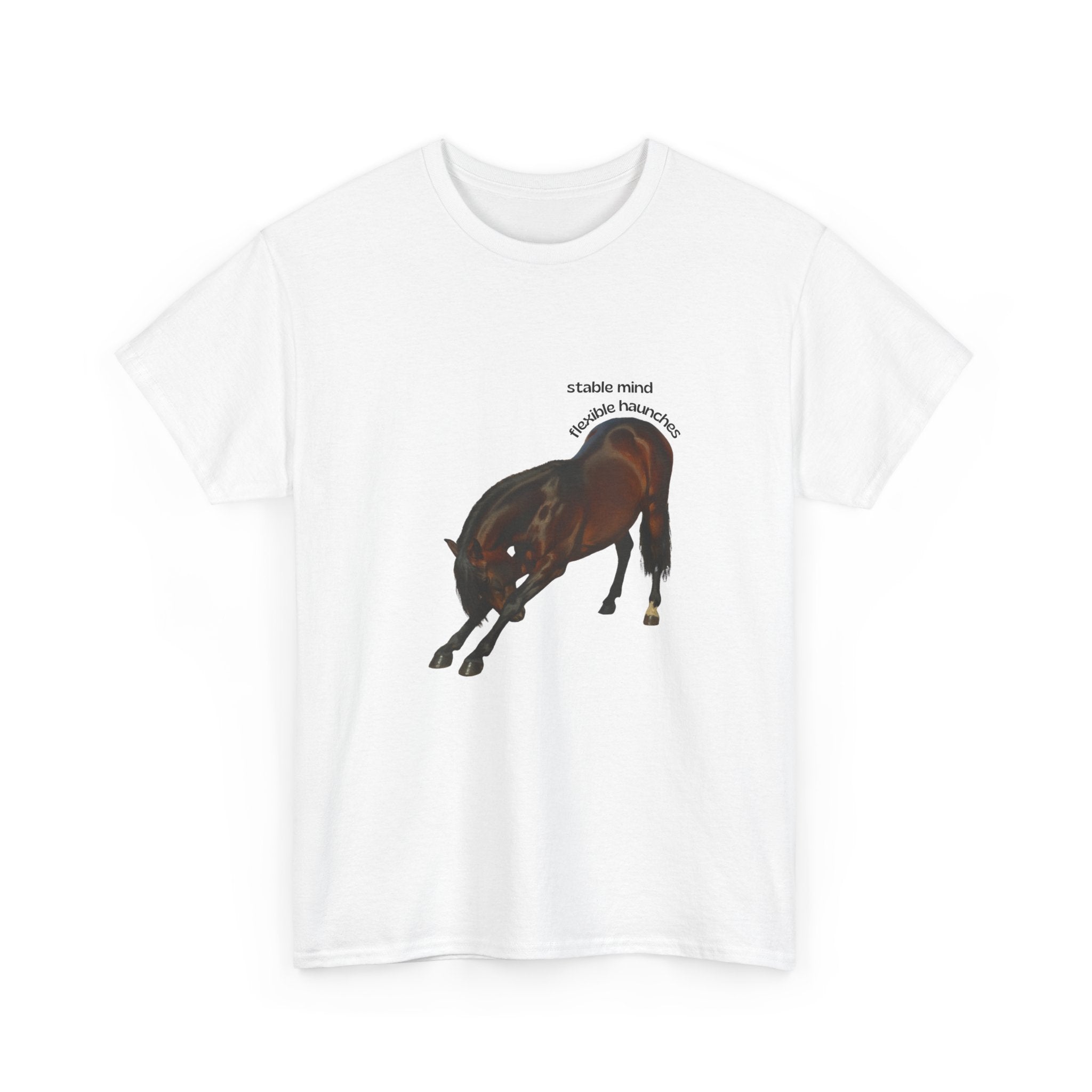 Stable Mind, Flexible Haunches, Lusitano T-Shirt