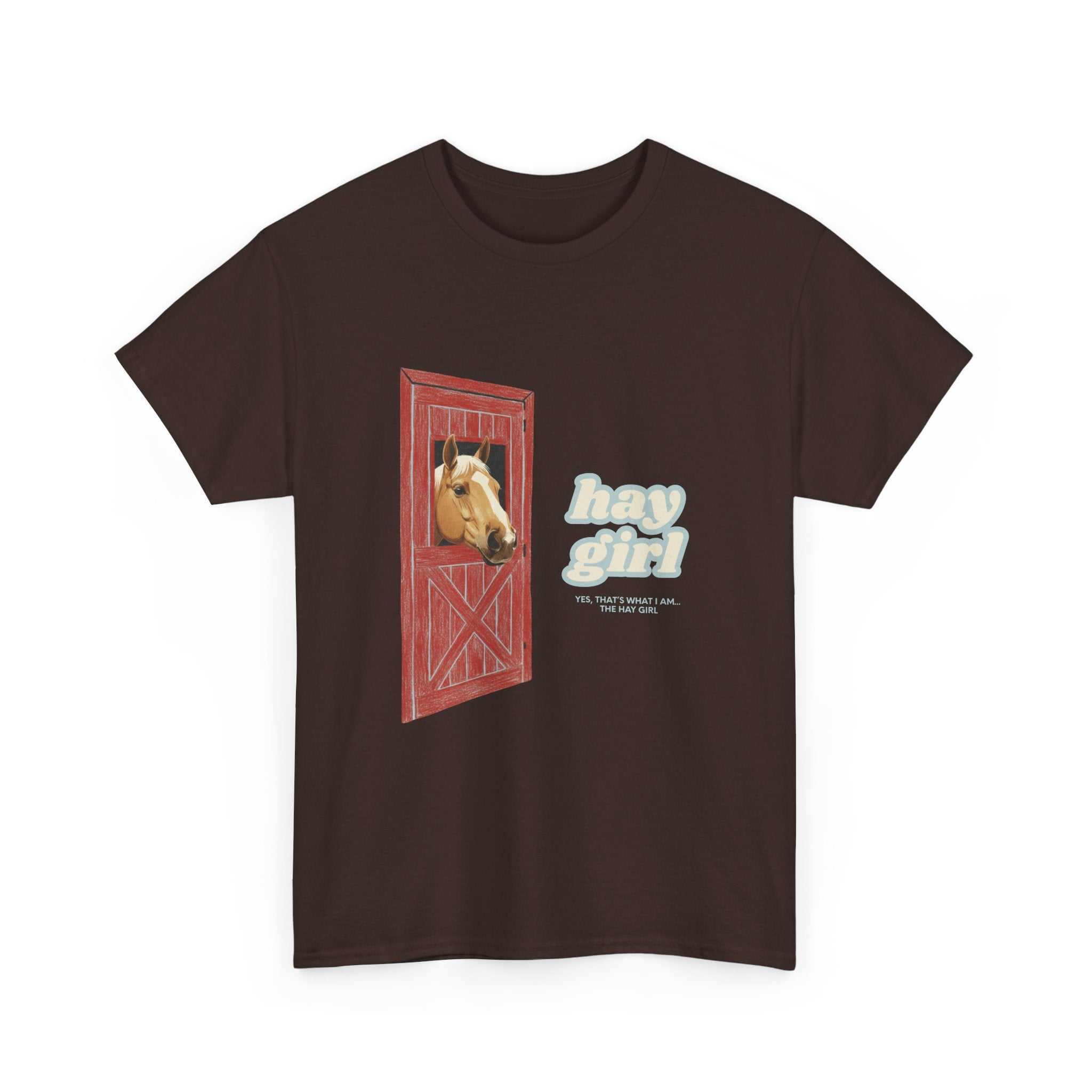 Hay Girl, Horse in Barn T-Shirt