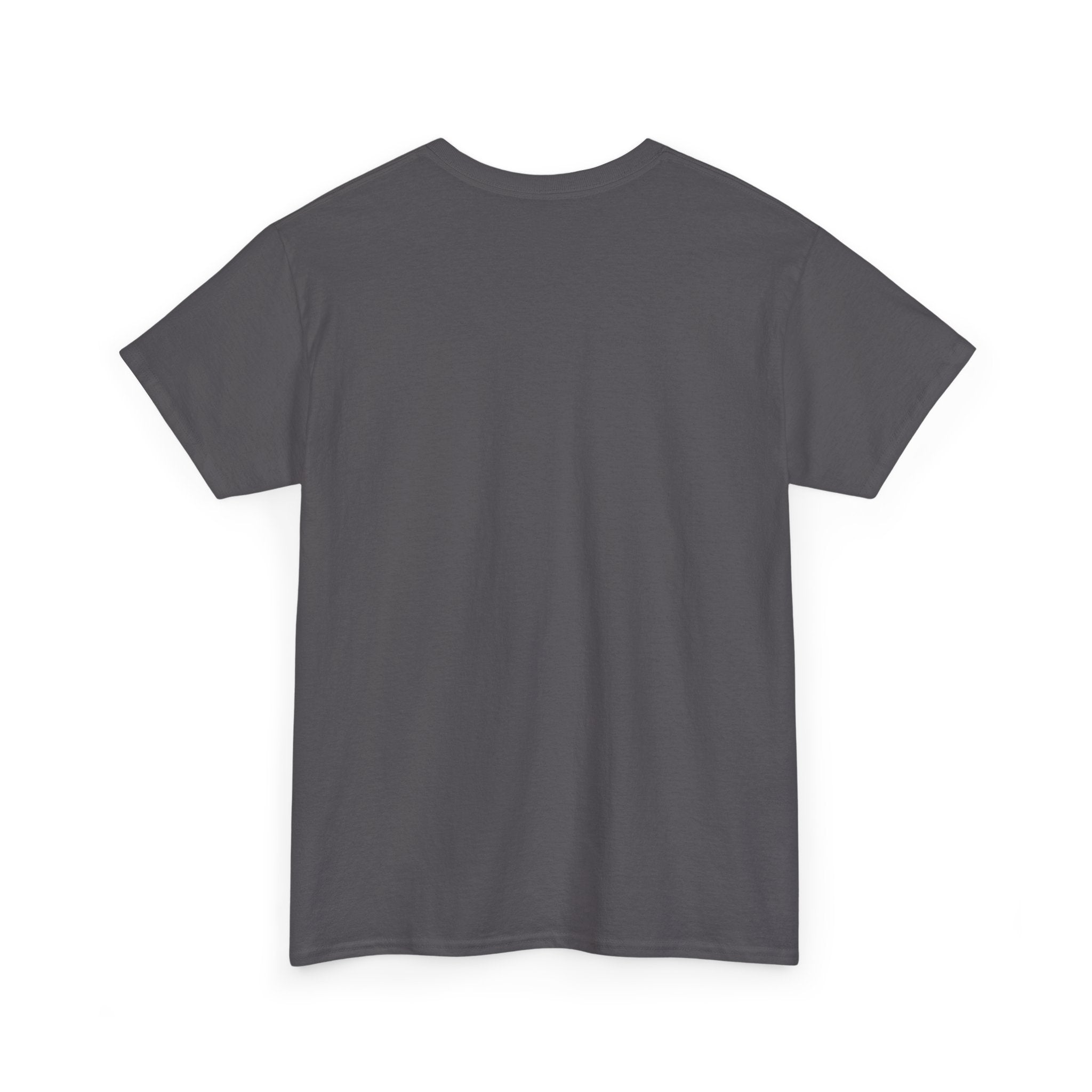 Hay Girl, Horse in Barn T-Shirt
