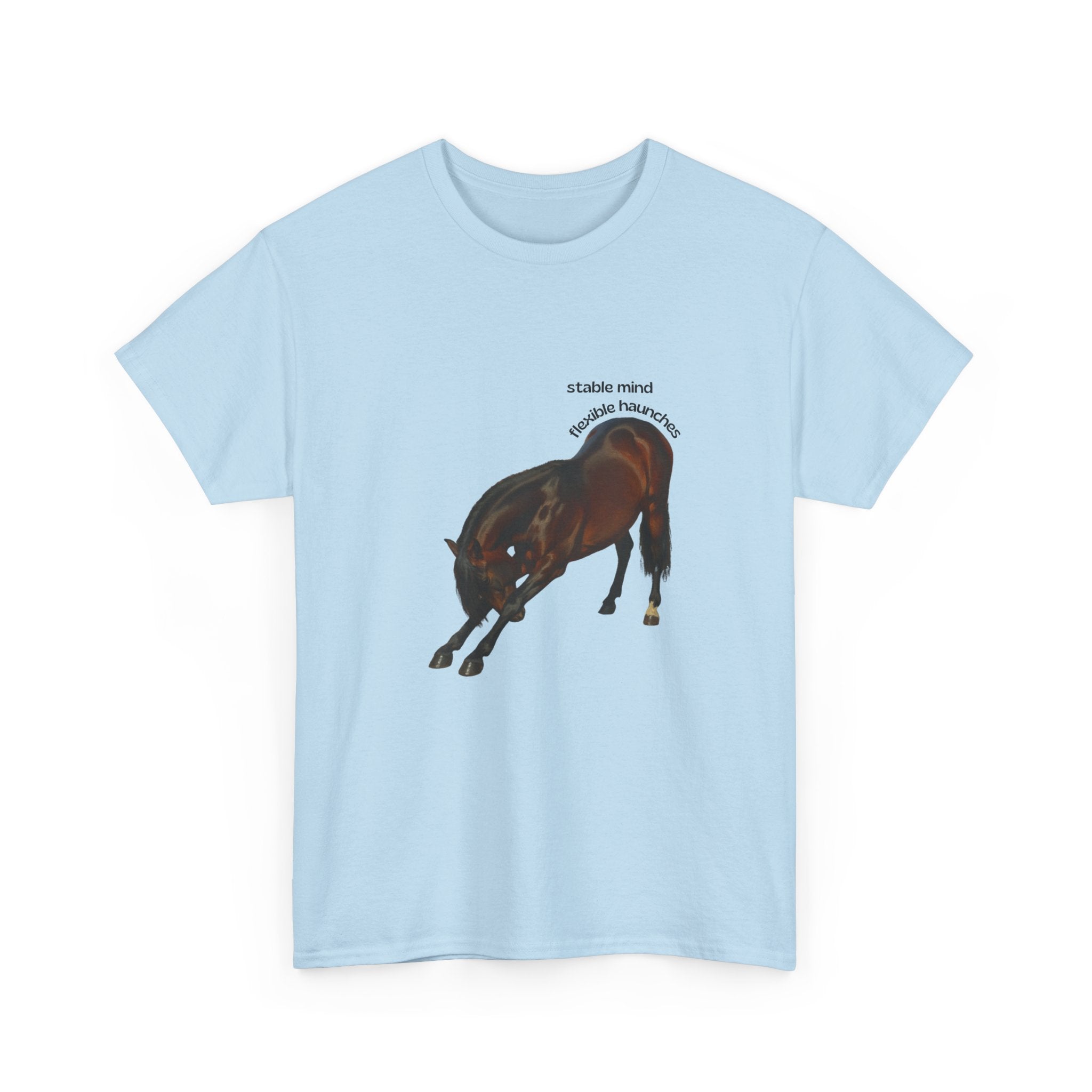 Stable Mind, Flexible Haunches, Lusitano T-Shirt