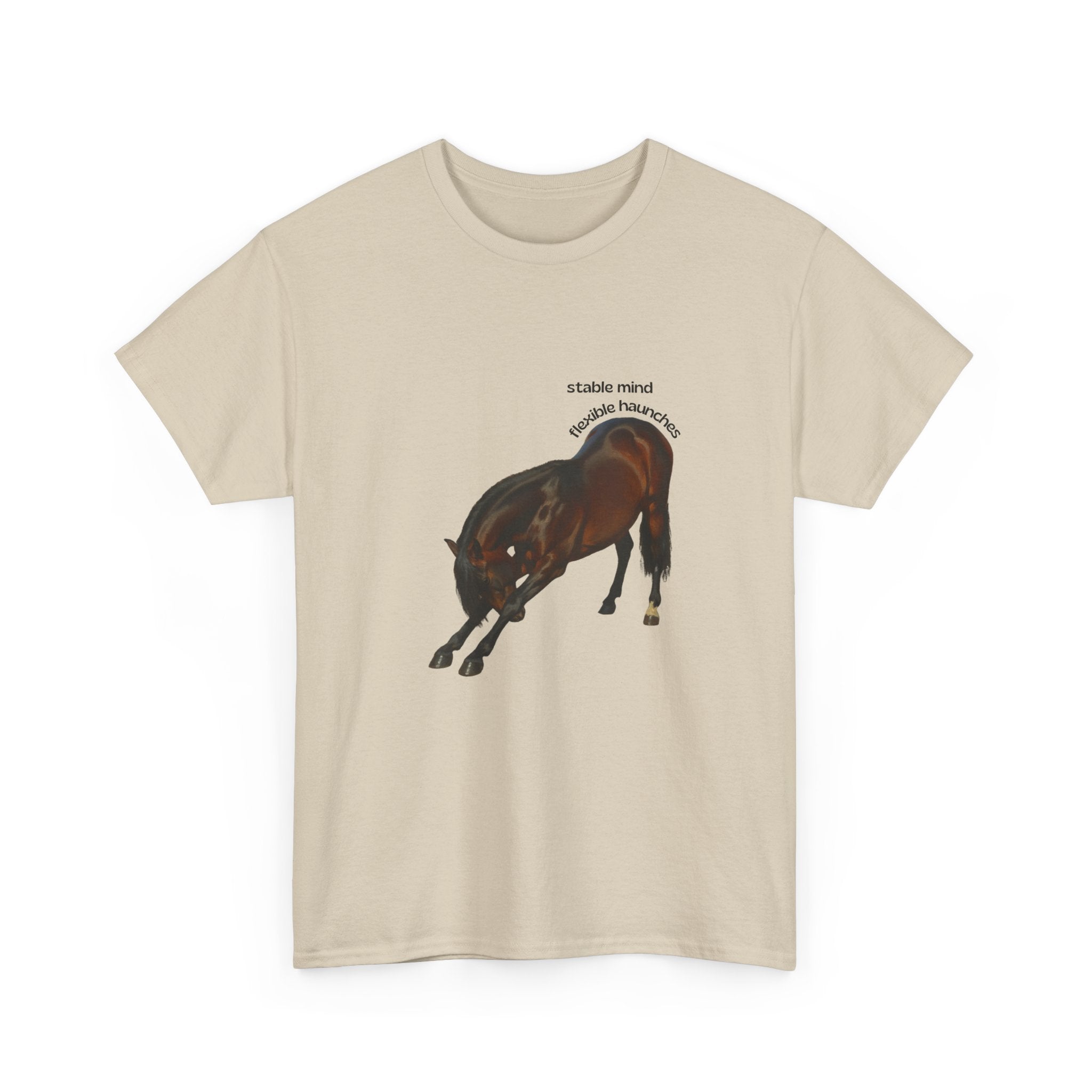 Stable Mind, Flexible Haunches, Lusitano T-Shirt